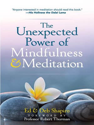 cover image of The Unexpected Power of Mindfulness and Meditation